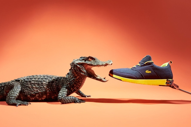 Joseph-Ford-Sneaker-Animals-Lacoste-Crocodile