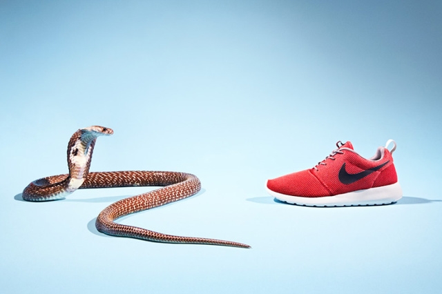 Joseph-Ford-Sneaker-Animals-Nike-Cobra