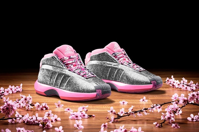 adidas-basketball-2014-spring-summer-florist-city-collection-2