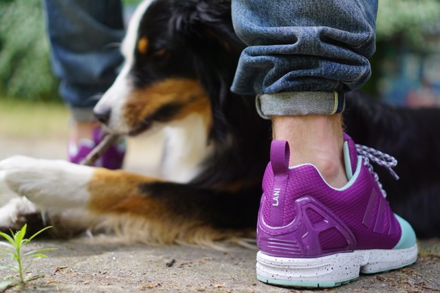 adidas-miadidas-zx-flux-forefootsplit-mint-puprle15